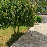 Apartmán In Kampor Mit Privatparkplatz By Interhome